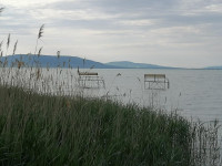 Horgászszállás a Balatontól 15m-re Fenyvesen horgászstéggel csónakkal - Kép 3