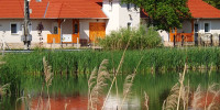 Nagybajcsi Körtefa Vendégház Apartmanok