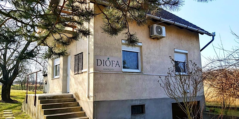Diófa Vendégház Daruszentmiklós