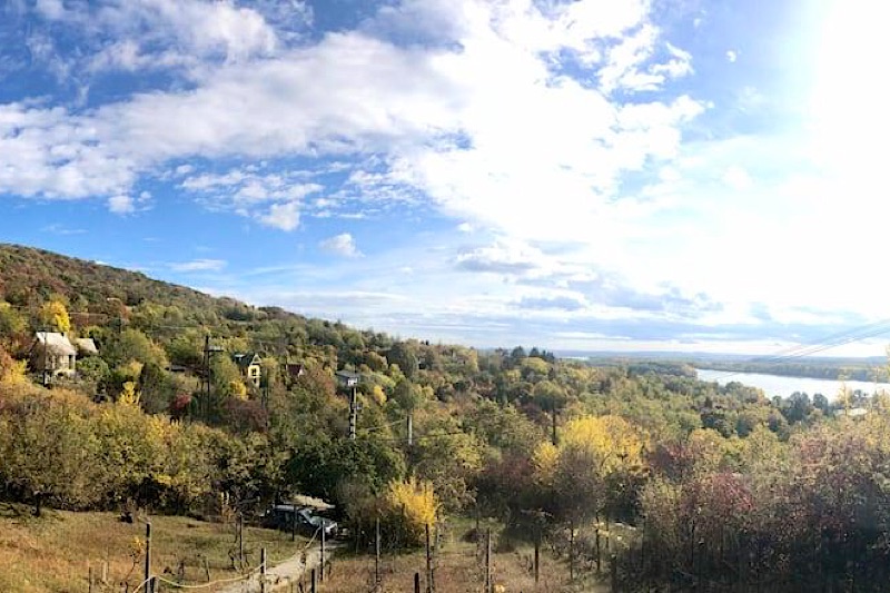 Páratlan panoráma, a természet közelségében - Kép 4