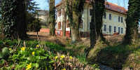 Park Villa Csopak