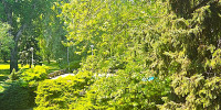Anna Apartman Balatonfüred