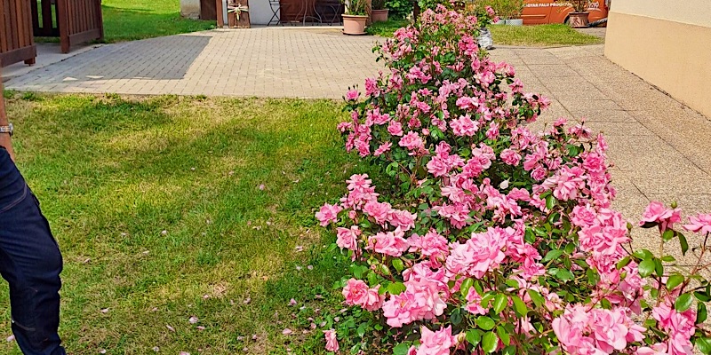 Fényesfelde Apartman Lendvajakabfa