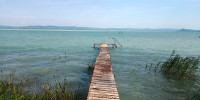 Szárszó Parti Apartman Balatonszárszó