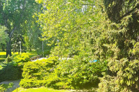 Stúdió 27 Apartman Csopak